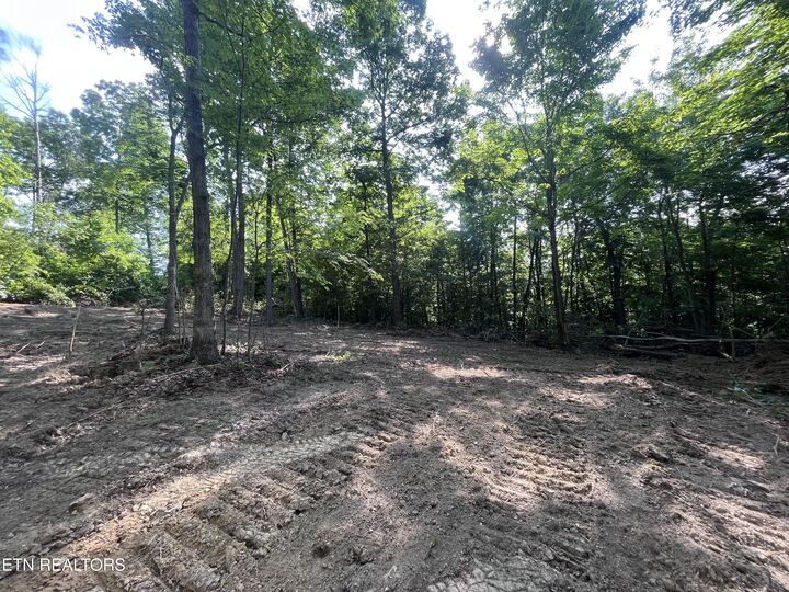 Property Photo: Little Sycamore Rd TN 37879