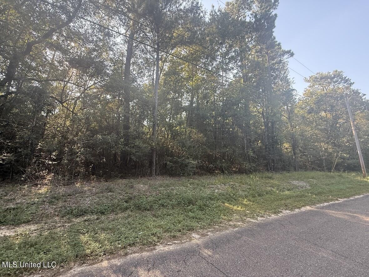 Property Photo:  N Pine Drive  MS 39571 