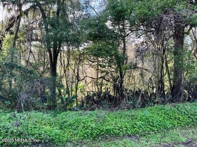 Property Photo:  0 N River Bluff Road  FL 32211 