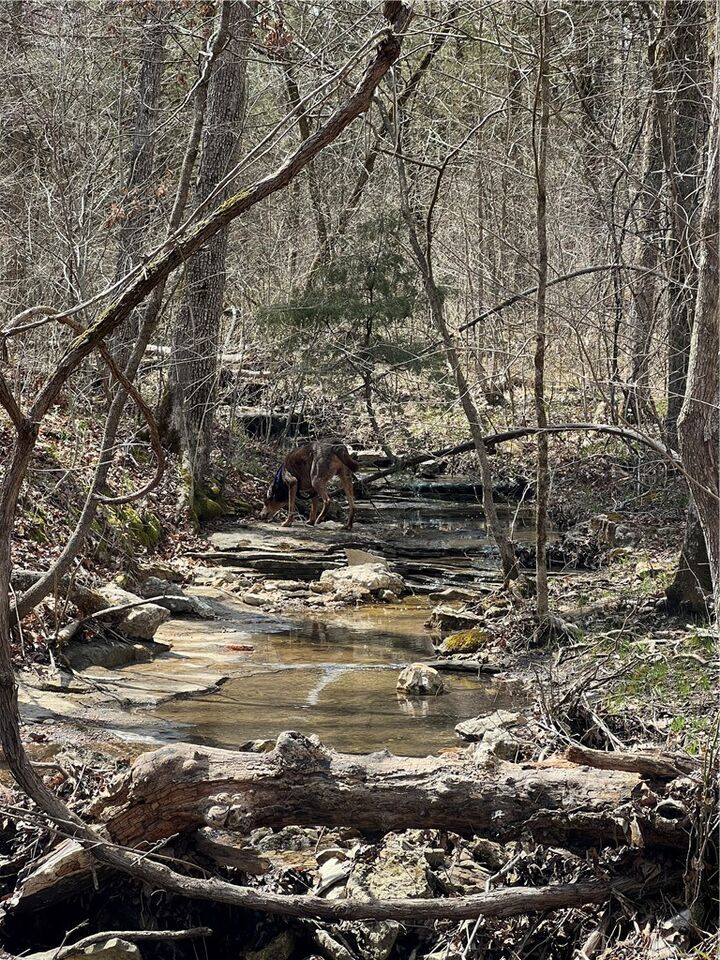 Property Photo:  Lot 45 Oaks Landing Drive  AR 72631 