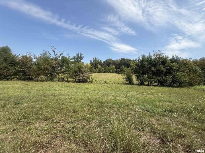 Property Photo: 00 Wood Road IL 62966