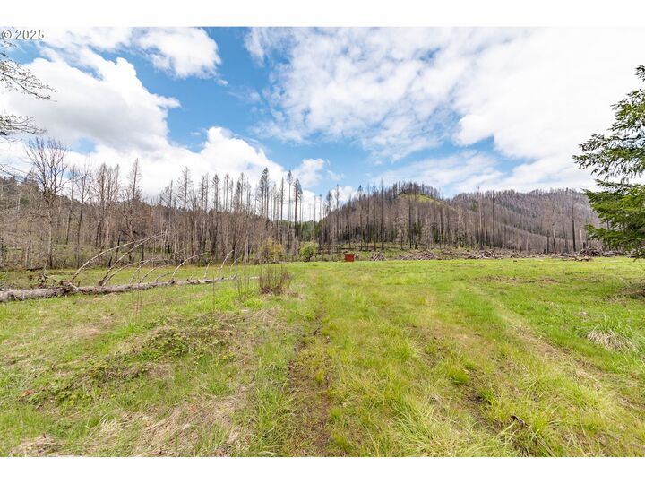 Property Photo:  91747 Blue River Reservoir Rd  OR 97413 