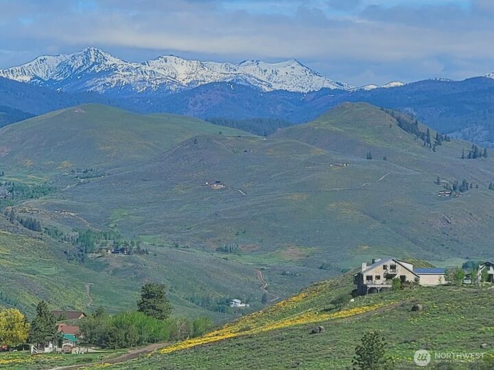 Property Photo:  8  Deer Trails Way  WA 98862 