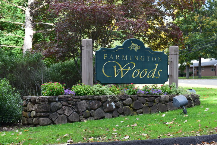 Property Photo:  3 Putnam Lane 3  CT 06001 
