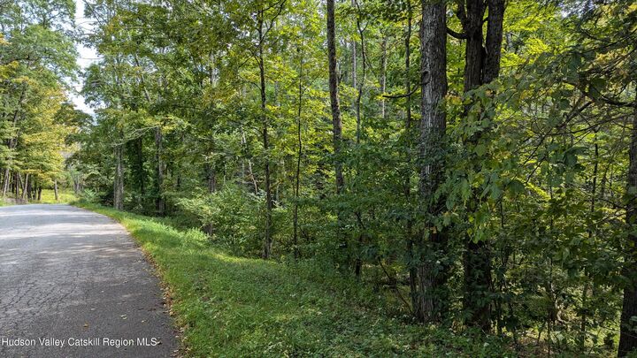 Property Photo:  2 Cohen  NY 12468 