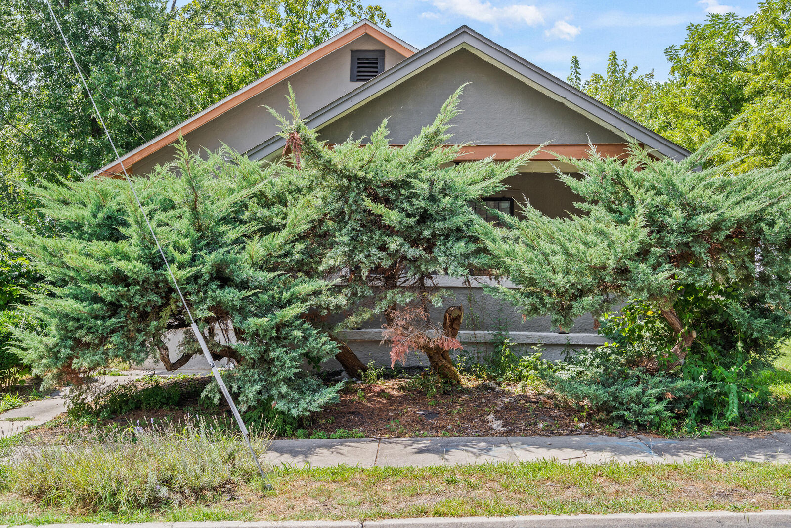 Property Photo:  407 Circus Ave  MO 65201 