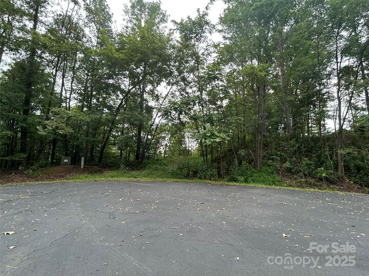 Property Photo: 168 Robinwood Trail NC 28018