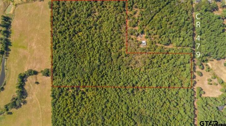 Property Photo: Tbd Cr 479 (Tract 4) TX 75771