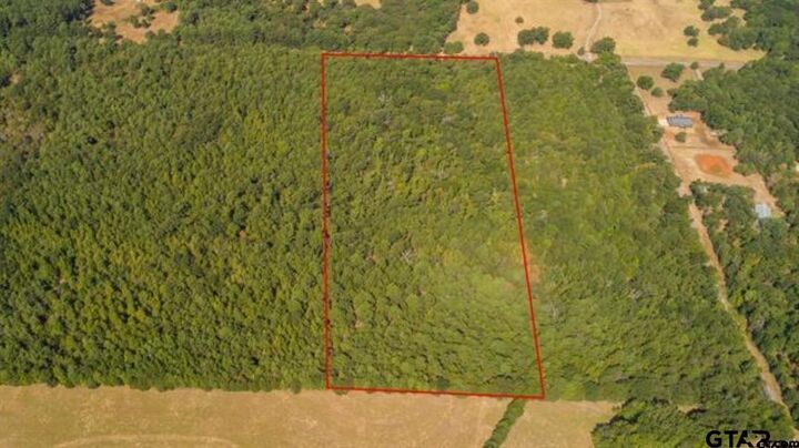 Property Photo:  Tbd Cr 479 (Tract 2)  TX 75771 