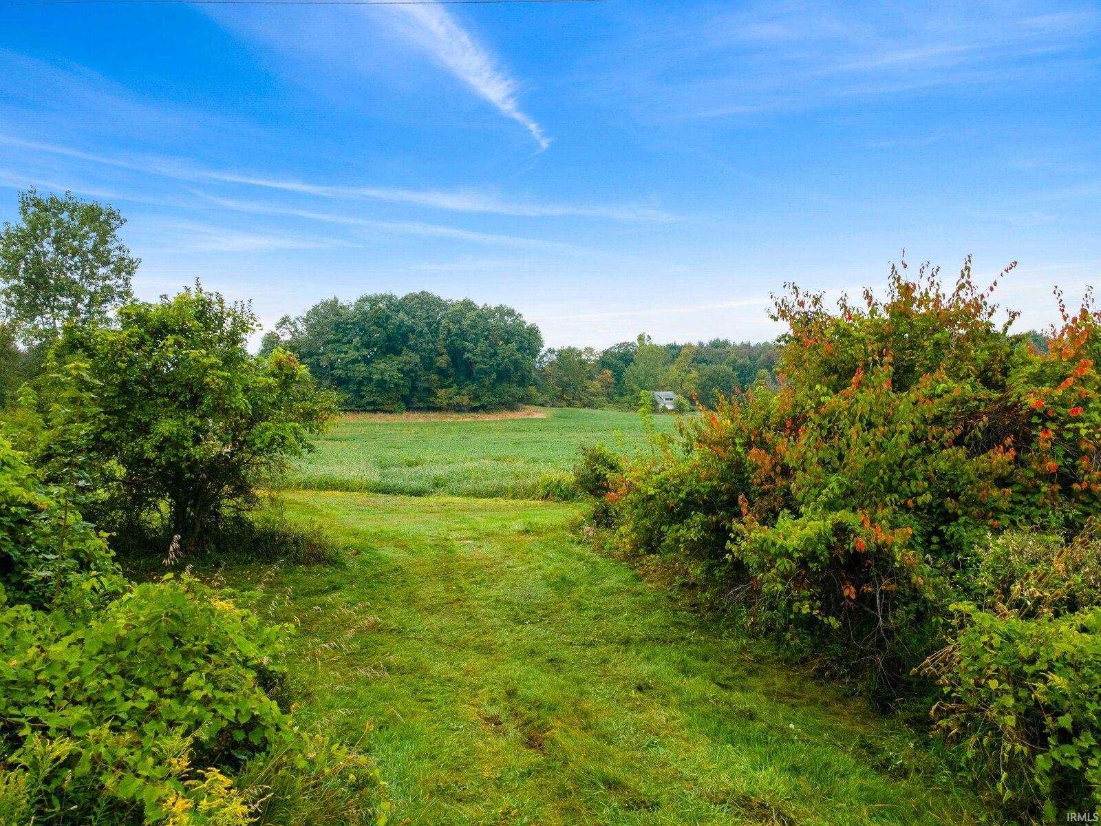Property Photo: 4686 County Road 7 Road IN 46738