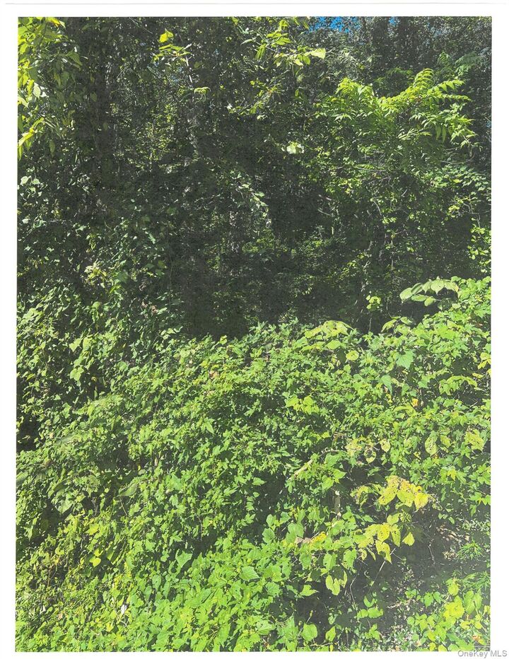 Property Photo: 83 Gallows Hill Road NY 10567