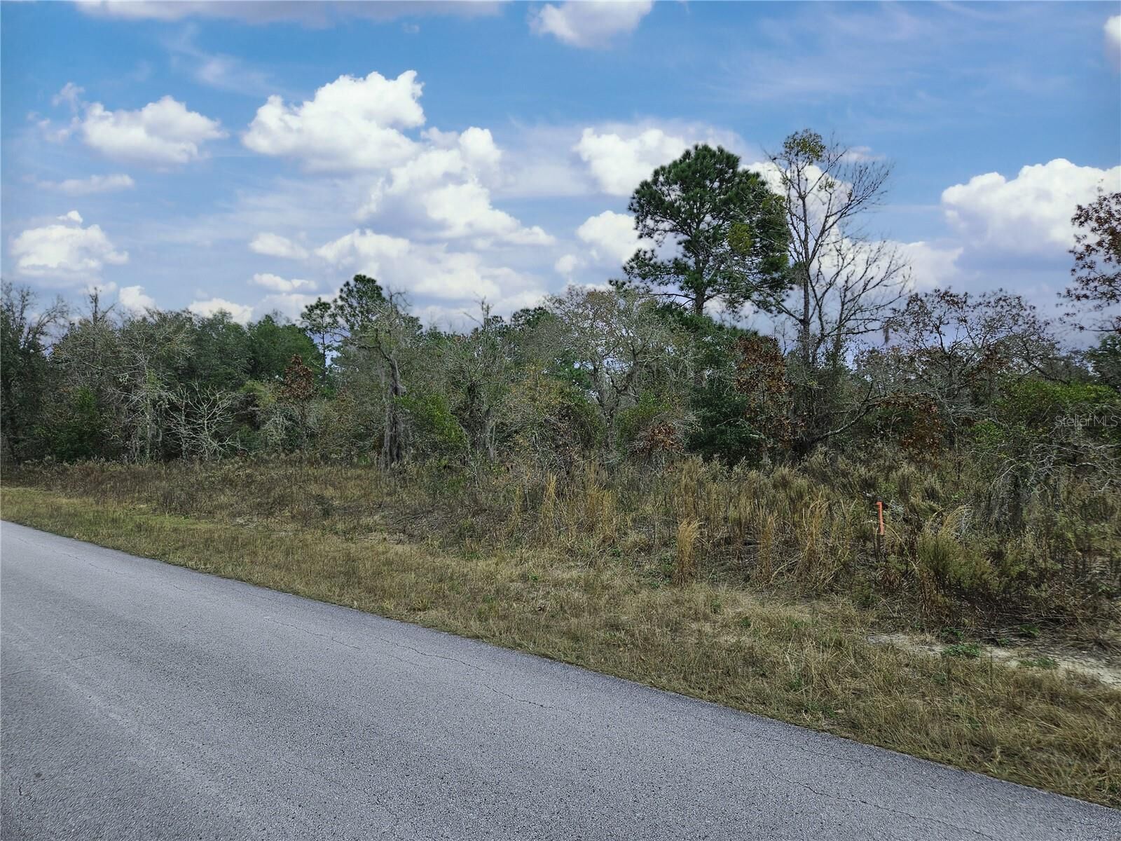 Property Photo: 1281 SW Viburnum Road FL 34431