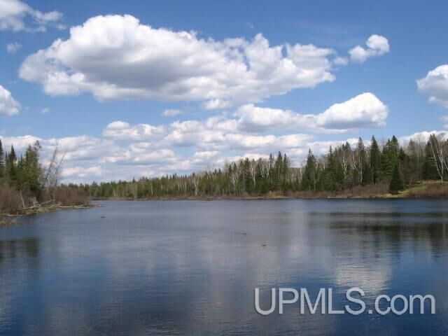Property Photo:  33 Acres Off Net River Road  MI 49903 