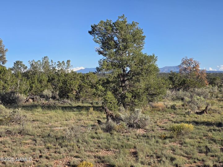 Property Photo:  #50231228A Red Butte Rd Parcel #50231228A  AZ 86046 