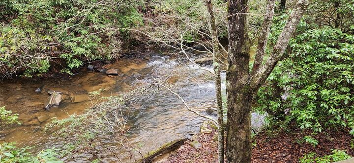 Property Photo: 318 Donna Lee Lane GA 30559
