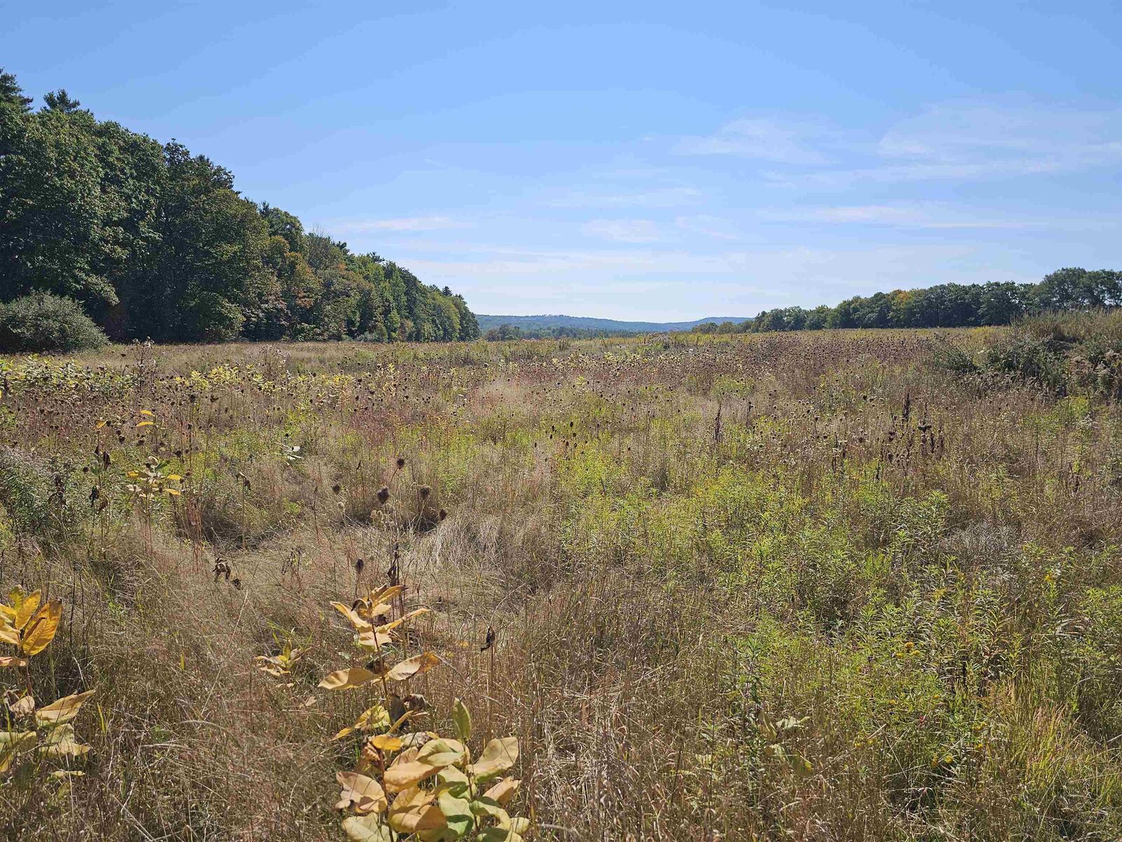 Property Photo:  0 Shaw Road  NH 03218 
