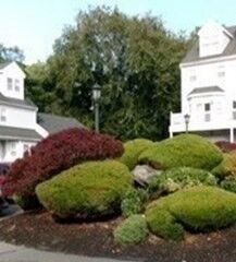 Property Photo:  109 Salem St 405  MA 02151 