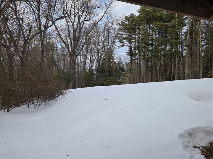 Property Photo:  366 Southbridge Rd  MA 01083 