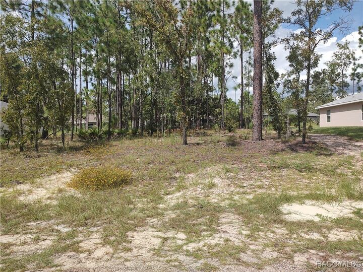 Property Photo:  1051 W Cary Drive  FL 34434 