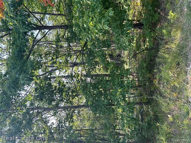 Property Photo: Lots 1797 And 1798 Sandpiper Trail MI 48735