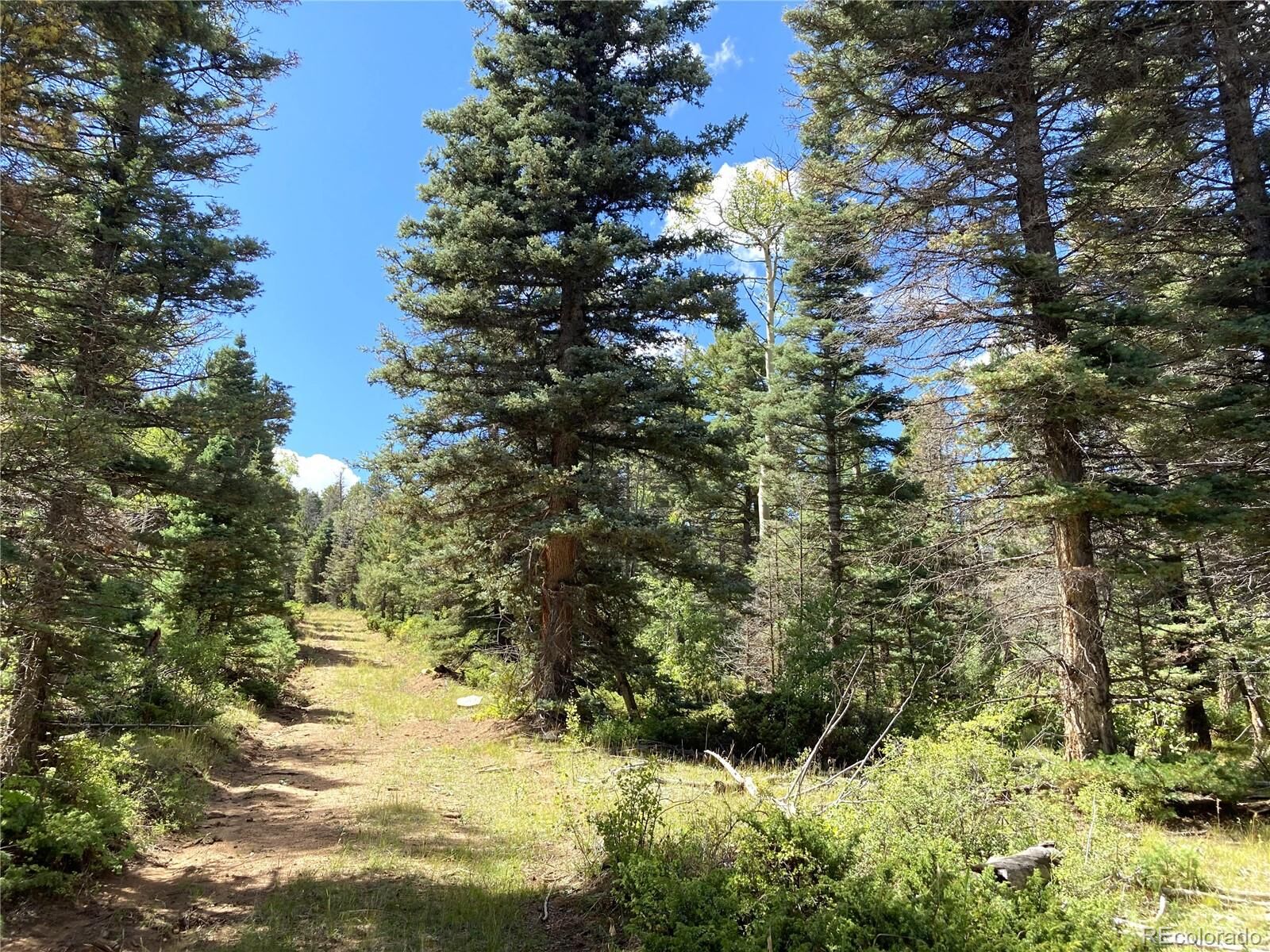 Property Photo: Tbd L 27 Copper Mountain Road CO 81223