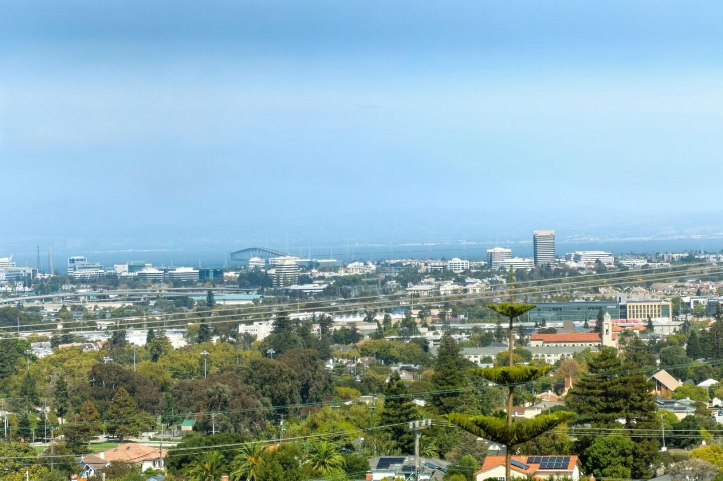 Property Photo:  990 31st Avenue  CA 94403 
