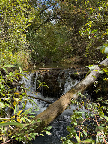 Property Photo:  13 E Birch Creek Dr S D13  UT 84629 