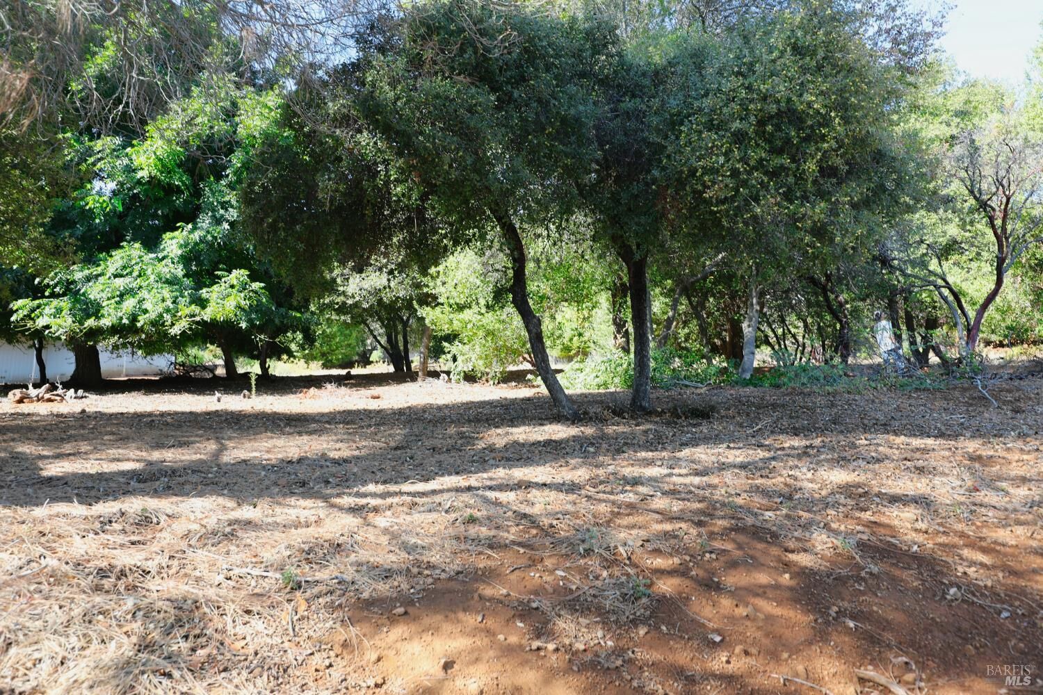 Property Photo:  3407 Toyon Court  CA 95451 