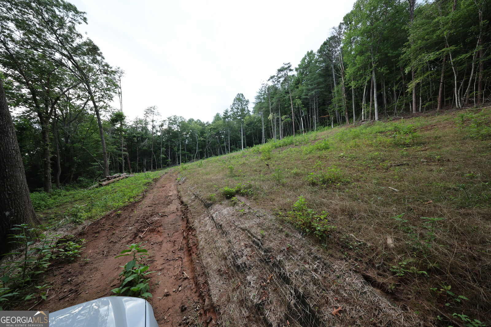 Property Photo:  0 John Beck Dockins  GA 30568 