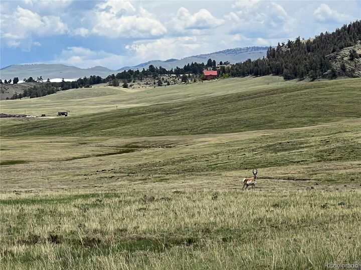 Property Photo: 4 Ranch Road CO 80449