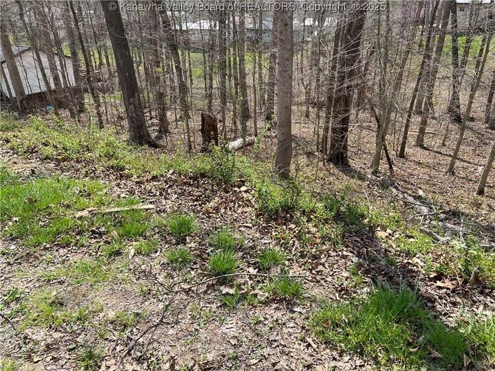 Property Photo:  1189 Hillcrest Drive  WV 25177 