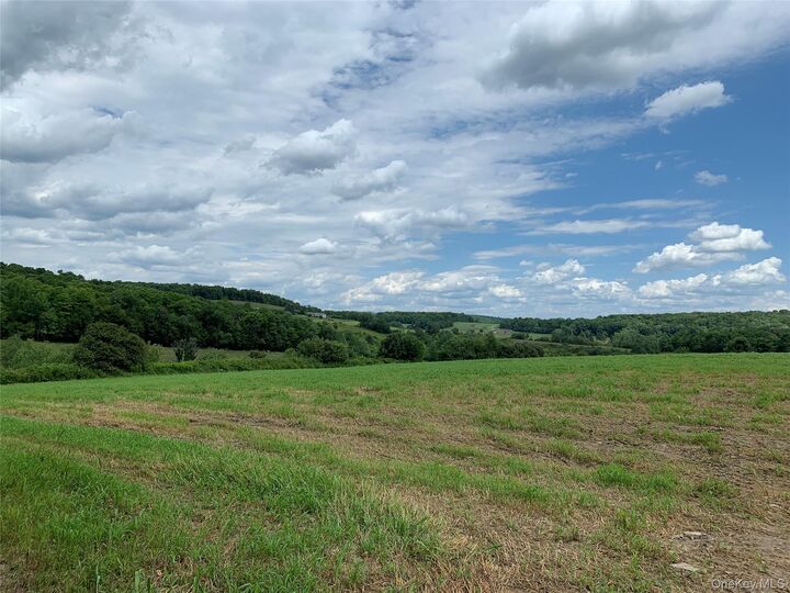 Property Photo:  413 Middlefield Rd  NY  