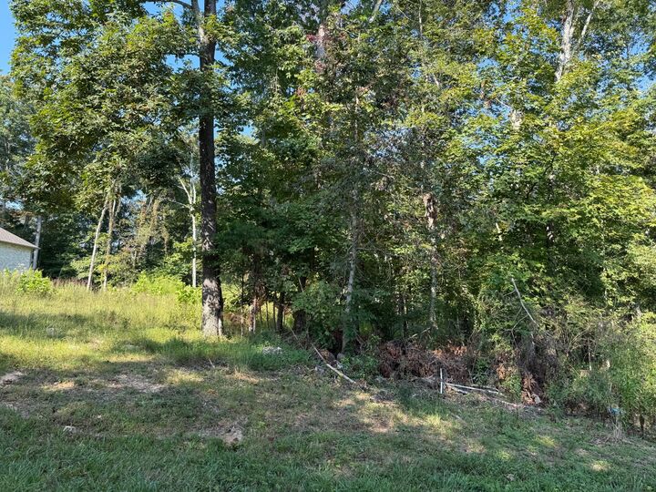 Property Photo: 0 Ovoca Rd TN 37388