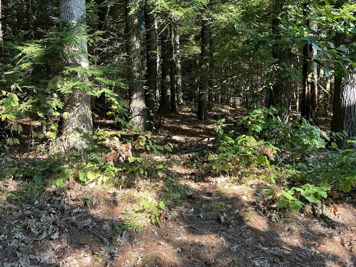 Property Photo: Pine Street NH 03229