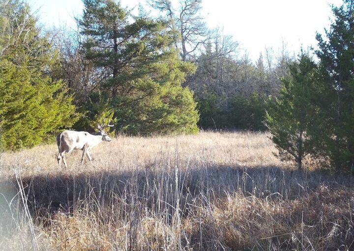 80048 County Road 24200  Roxton TX 75477 photo