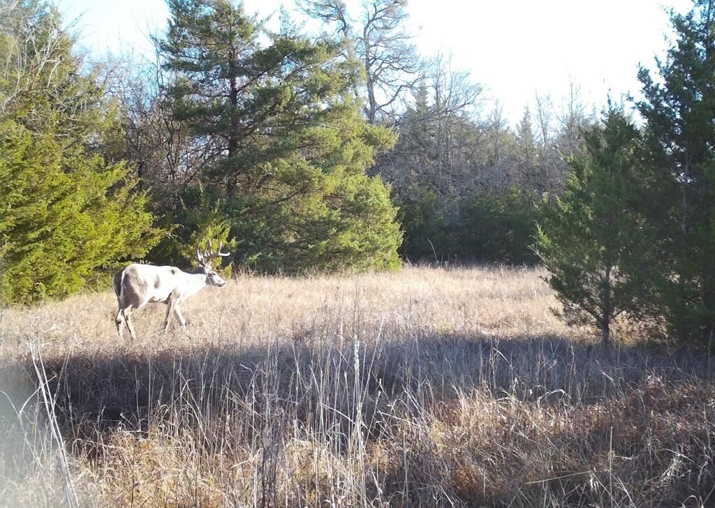 Property Photo:  80048 County Road 24200  TX 75477 