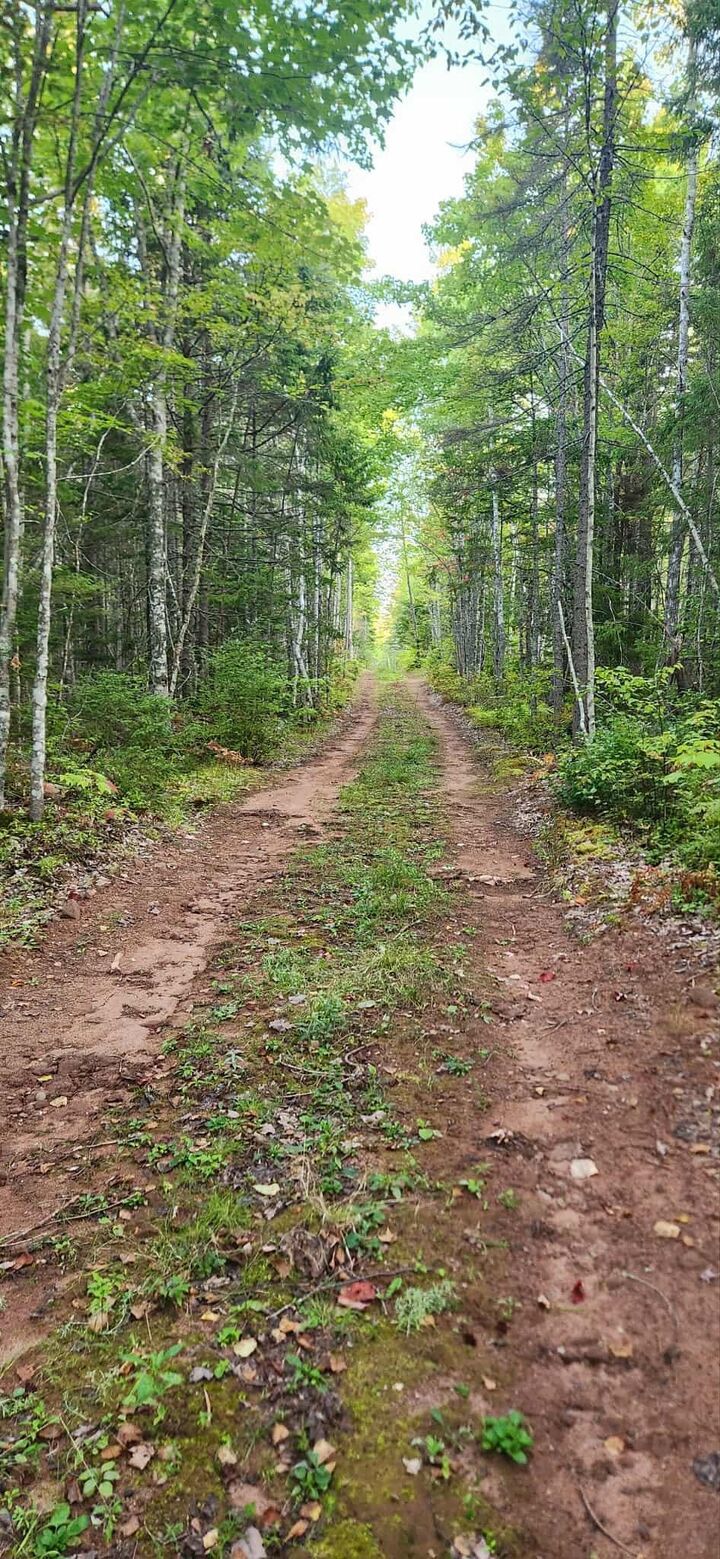 Photo de la propriété:  Acreage 74 Acres Hopefield  PE C0A 1W0 