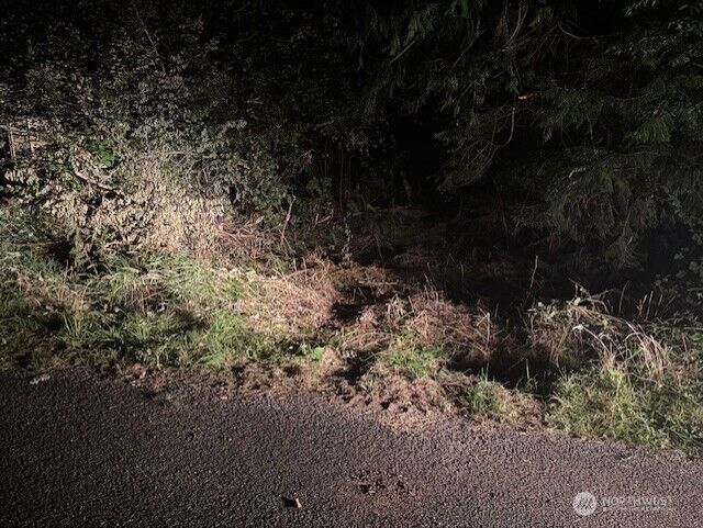 Property Photo:  41 E Soundview Drive  WA 98584 