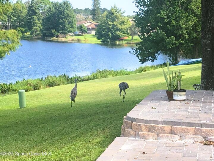 Property Photo:  2380 Alabaster Avenue  FL 32833 