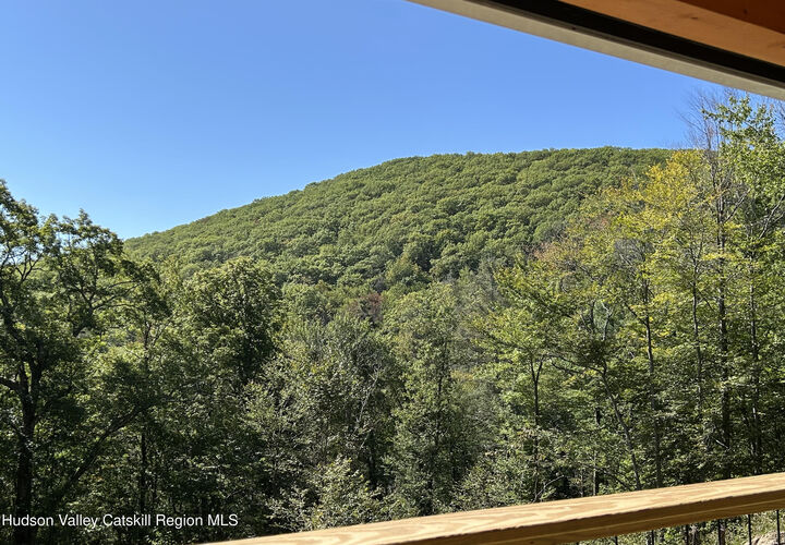 Property Photo:  197 Trails End  NY 12446 