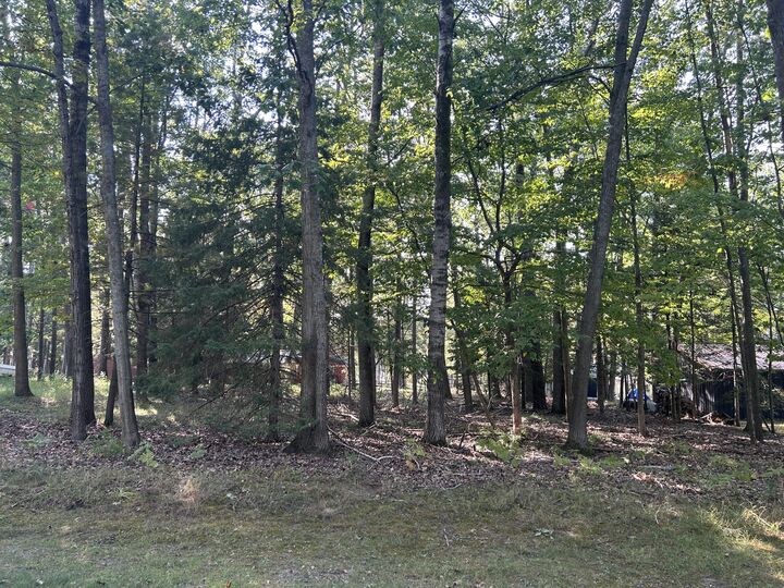 Property Photo:  V/L L16-17 North Owl Road  MI 48742 
