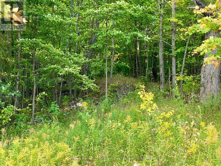 Photo de la propriété:  0 Clear Lake Road North  ON P0H 1A0