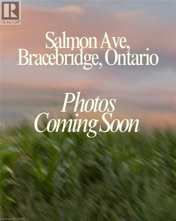 Salmon Avenue  Bracebridge ON  photo
