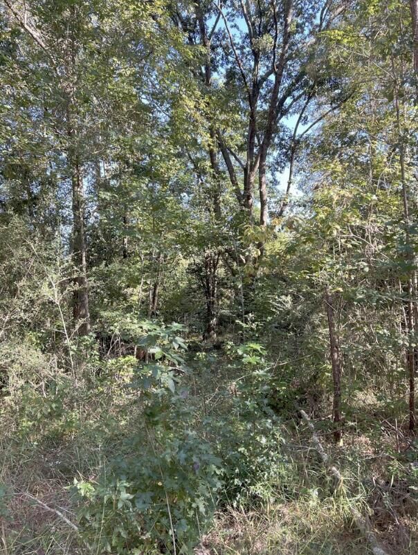 Property Photo:  13 Acres Jack Rd  FL 32567 