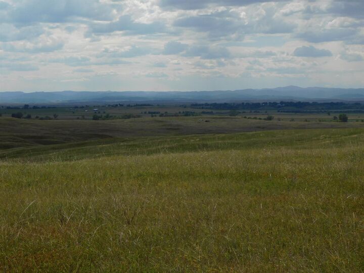 Property Photo:  Tbd Riley Road  SD 57762 