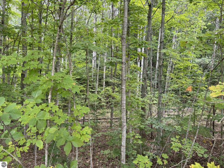 Property Photo:  Lot 4 E Old Mountain Road  MI 49621 