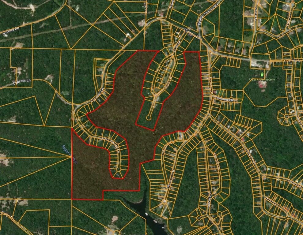 Property Photo:  62.68 Acres Cypress Lane  AR 72756 