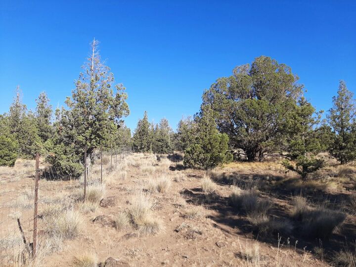 Property Photo:  SE Tillamook Loop  OR 97754 