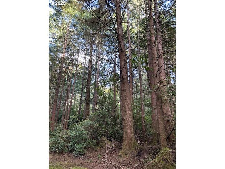 Property Photo:  SW Flansberg Ave  OR 97394 