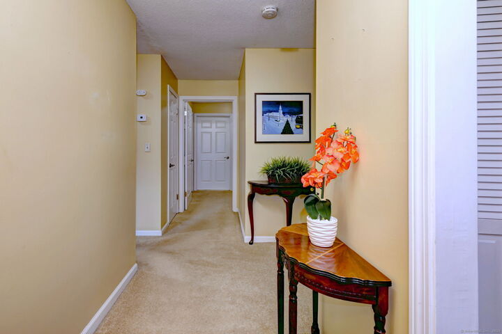 Property Photo: 24 Heritage Village A CT 06488